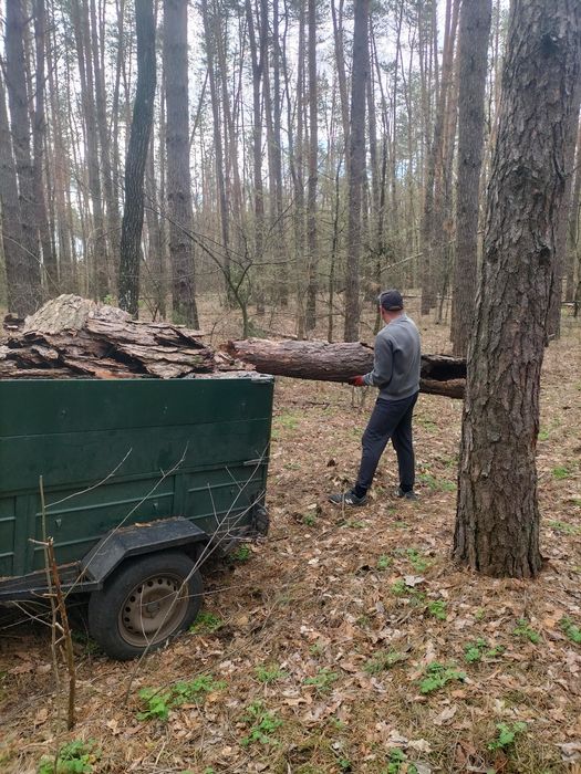 Кора соснова  для декора клумб