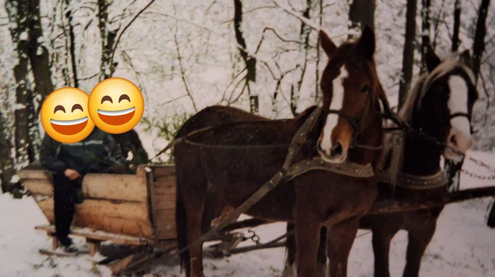 В продажі кінні сани