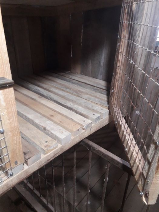 Продам клітку для кролів