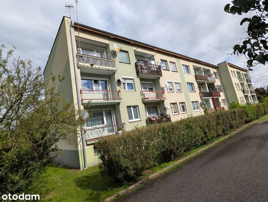 Mieszkanie Syców ul. Matejki | 50,9 m² | 1. piętro | dwa osobne pokoje