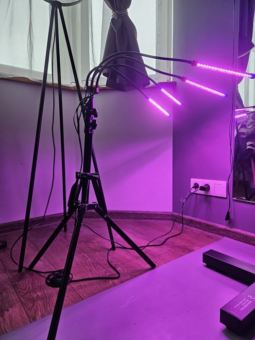 Lampa do wzrostu roślin