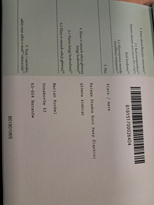 Sprzedam klaczka Śląska