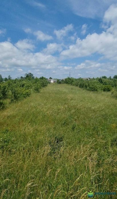 Продається ділянка в Чернієві (1)