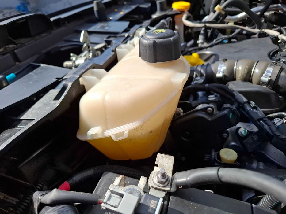 Renault Kangoo 1.5 dCi 3Lug Maxi Nacional de 2020 Com IVA/DEDUTIVEL