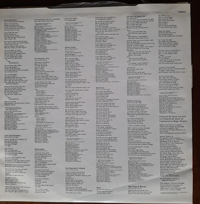 Vinil / Lp - David Lee Roth - album Skyscraper 1988