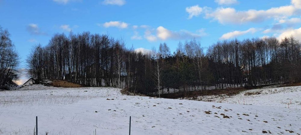 Działka budowlana 12,5 ar  Czudec  pow. Strzyżów | piękne widoki  | sąsiedztwo lasku | WZ | media  | 20 min do Rzeszowa