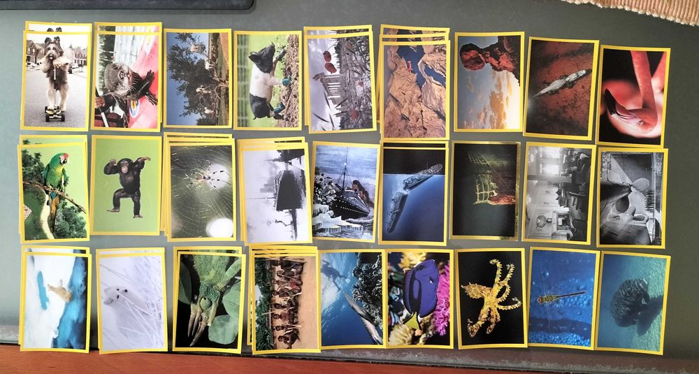 Lote de cromos "National Geographic Kids" (lista na última foto)