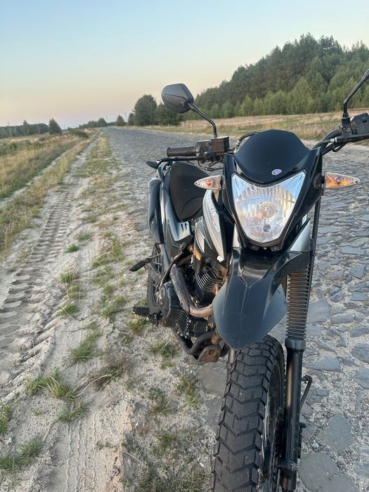Продам Лонкін прус 200