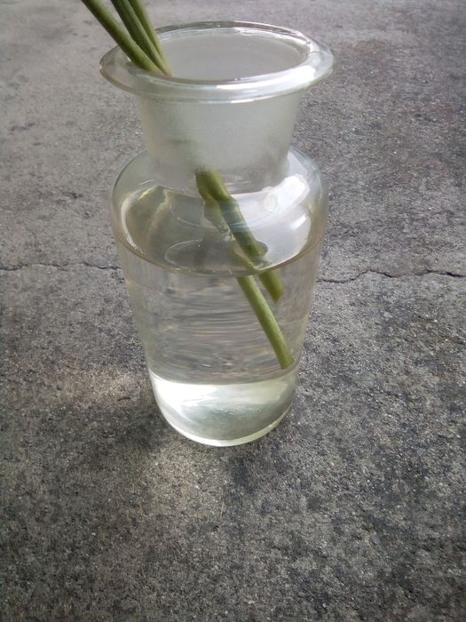 Frascos de farmácia antigos SécXIX!