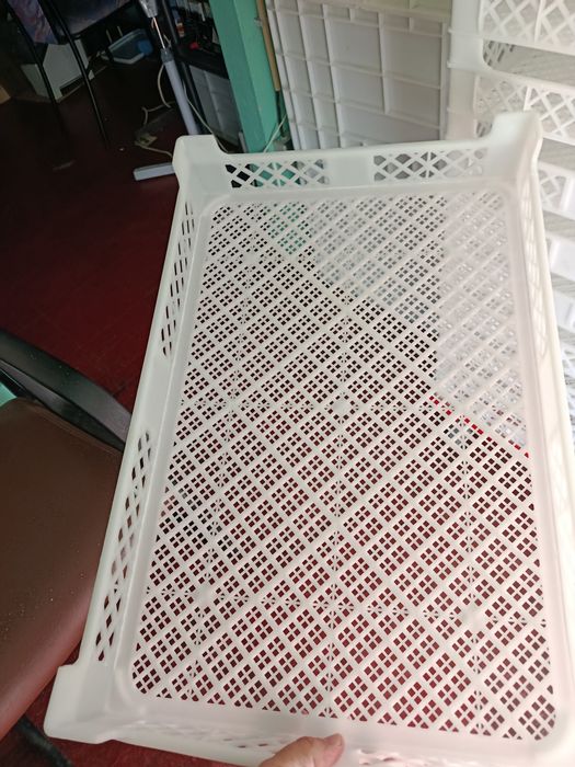 Plastic Trays454611962210570244