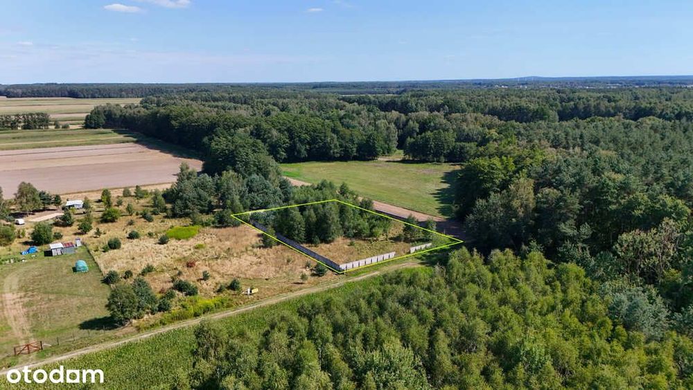 Ogrodzona działka w Rasach - 3001 m2 pod lasem