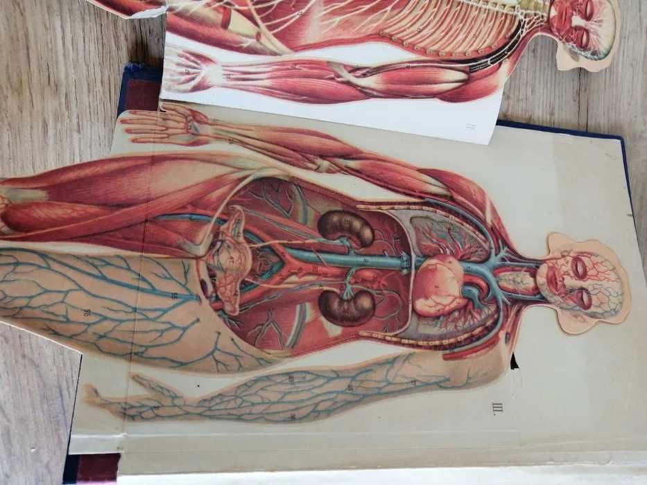 Stara książka medyczna Praktischer Hausschatz... antyk