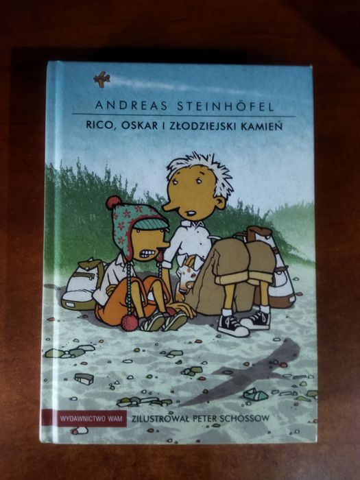 Książka Rico, Oskar i Złodziejski Kamień