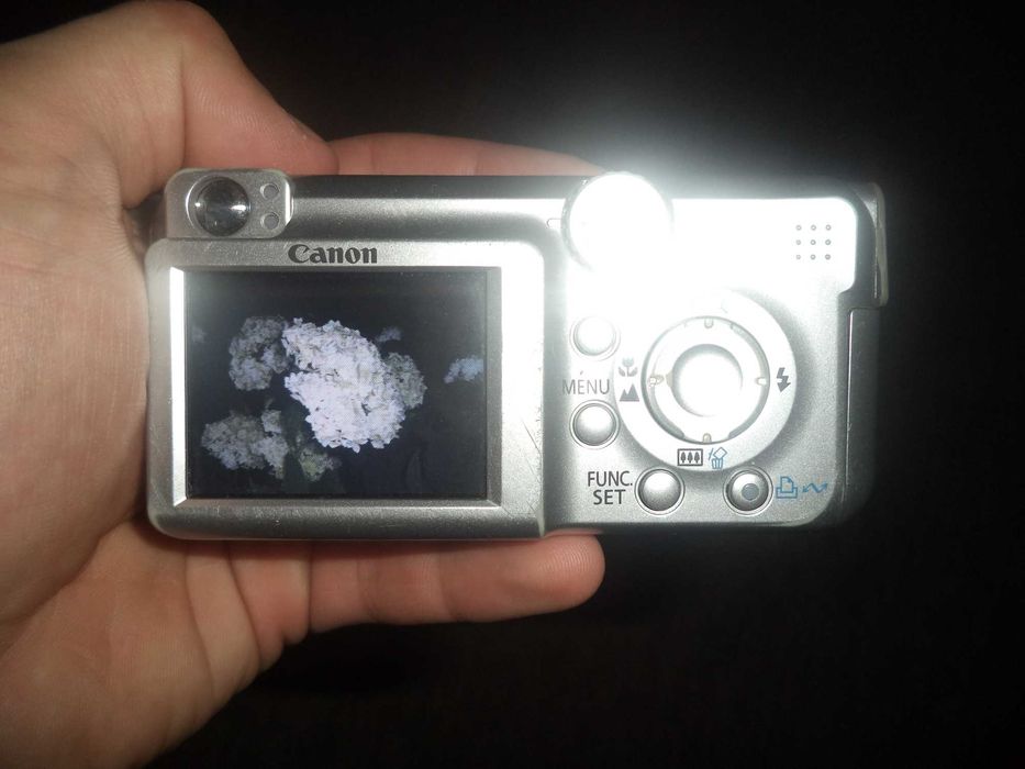 Canon PowerShot A450 | CCD Digital Camera