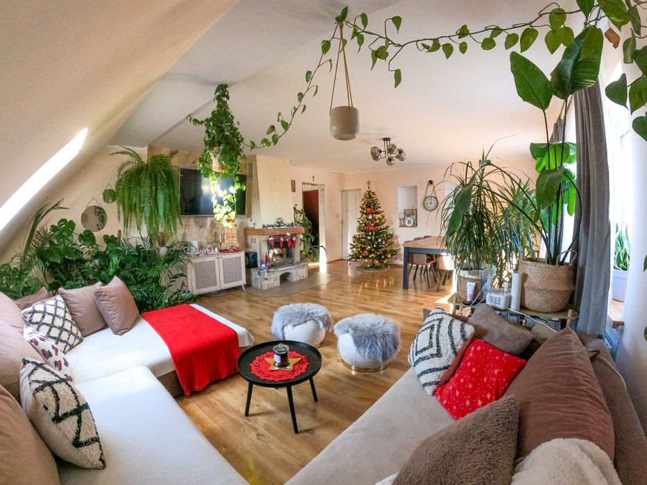 Duże Przestronne Jasne Mieszkanie z Ogródkiem