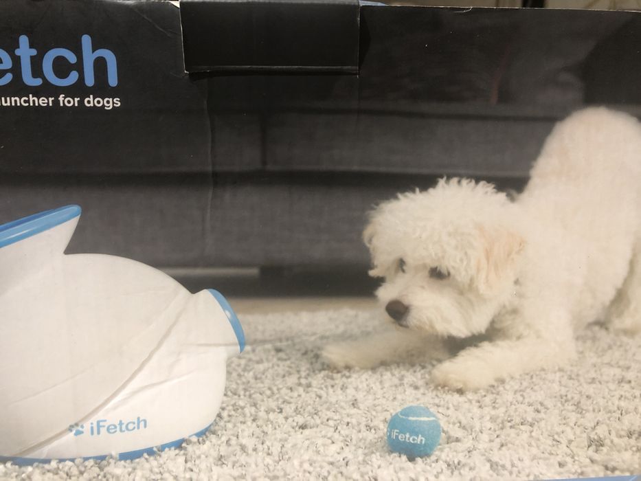 Ifetch automatic ball launcher for dogs