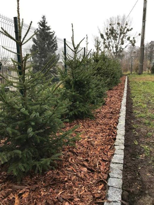 Działka budowlana 841 m²  -  Woźniki