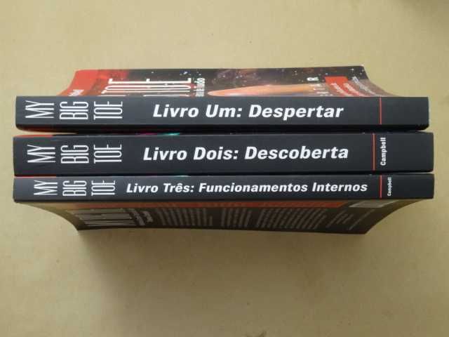 My Big Toe - Minha Grande Teoria de Tudo  de Thomas Campbell - 3 Volumes - 1ª Edição