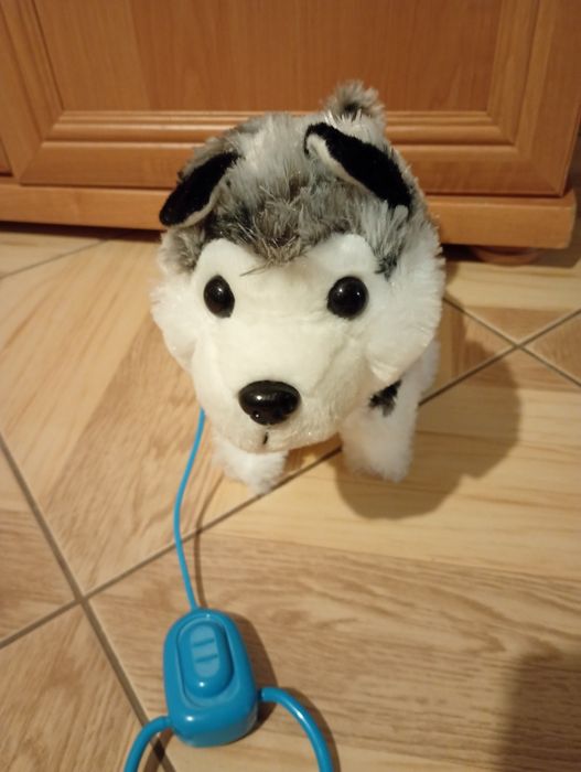 Nowy interaktywny piesek