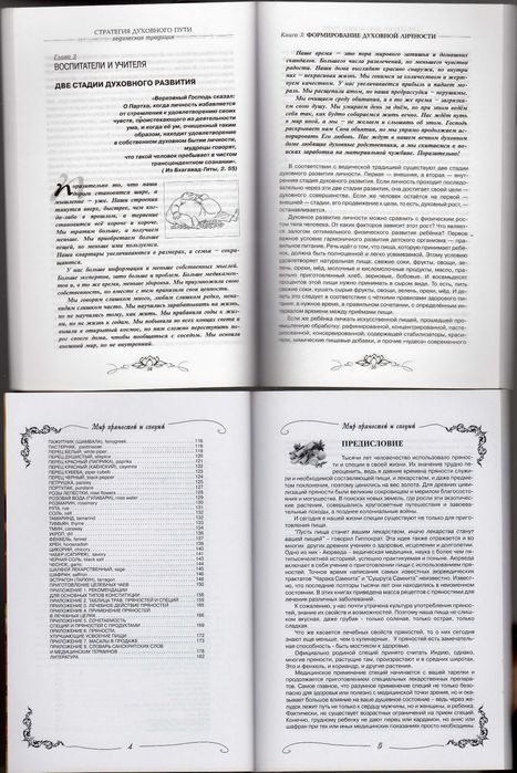 Подарочный комплект Стратегия духовного пути Ведическая традиция +