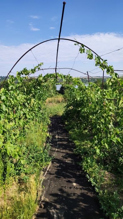 Продам дом село Приморское Васильевский район.