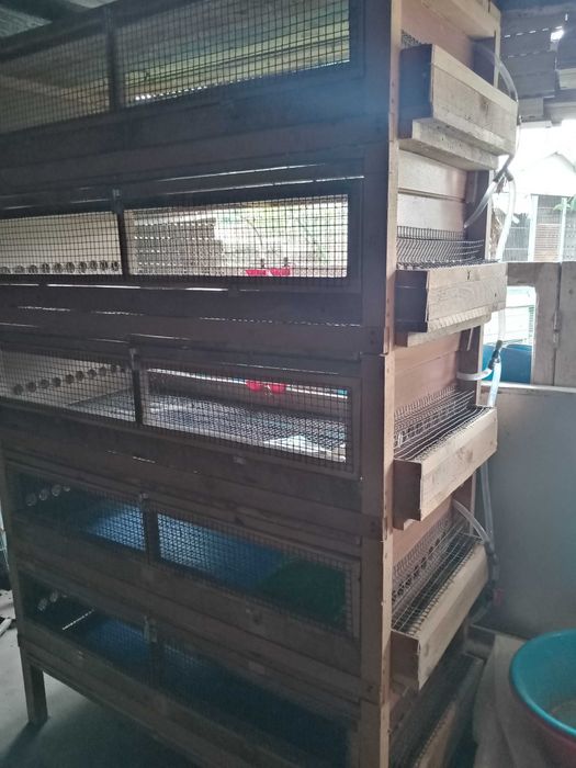 Chocadeira  - Berçario - movel