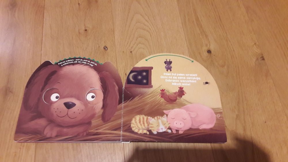 Książeczka Jak się czujesz piesku