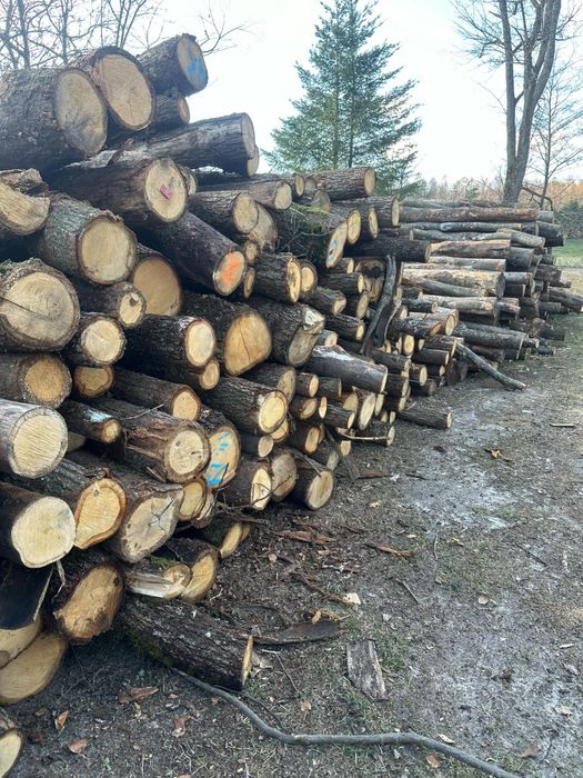 Drewno opałowe Kominkowe