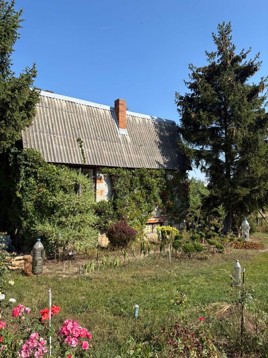 Biała Rawska - Działka z budynkiem - okazja inwestycyjna 0,5h - Widok 2