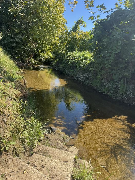 Terreno em Beire - Paredes