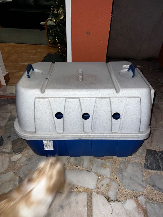 Caixa transportadora para cães