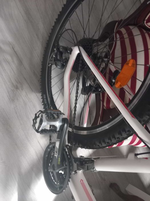 Rower Romet Mustank katbon