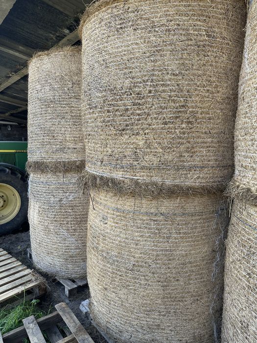 Silagem erva / Fenosilagem / Feno/Palha/fardos ou rolos plastificados