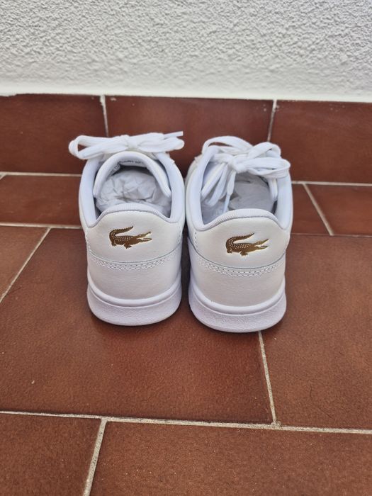 Tenis Lacoste originais