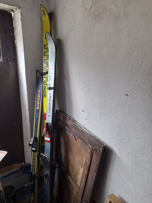 3 pary nart Salomon , Polsport