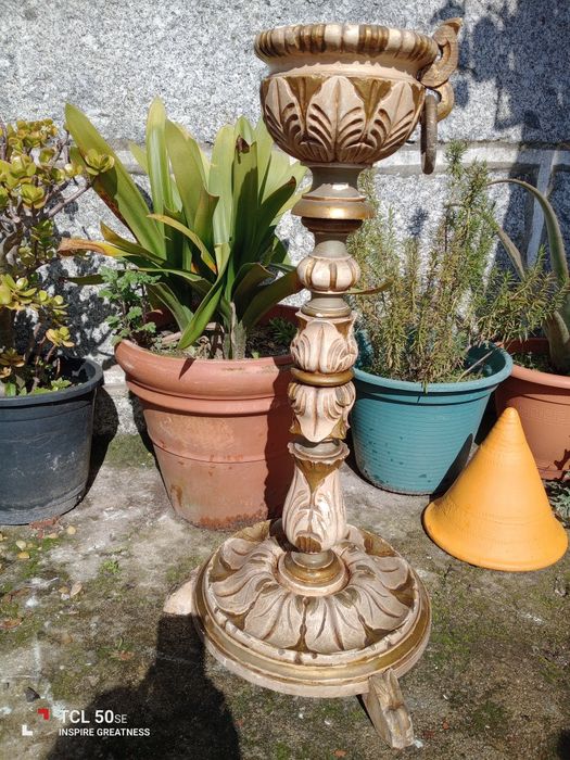 Cinzeiro de pé muito antigo, centenário.