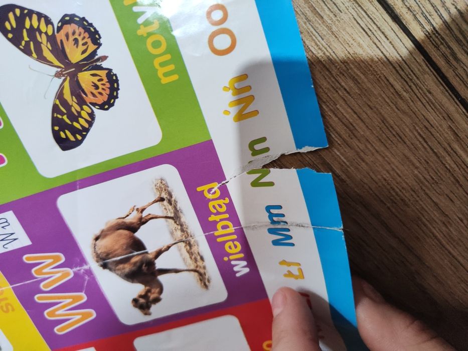 Kolorowy alfabet Tablica alfabetyczna do nauki