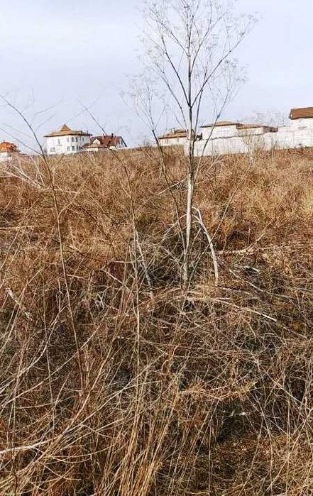 Участок 33 сотки в районе Черноморки