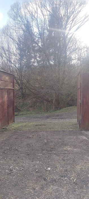 Ферма, корівник (колишній телятник)