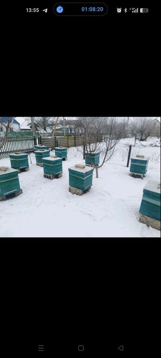 Продам пасіку!!!
