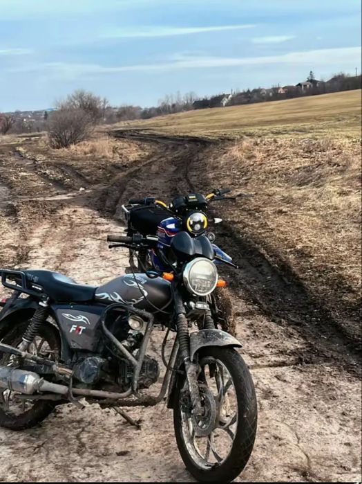 Мустанг Фит 125 2024