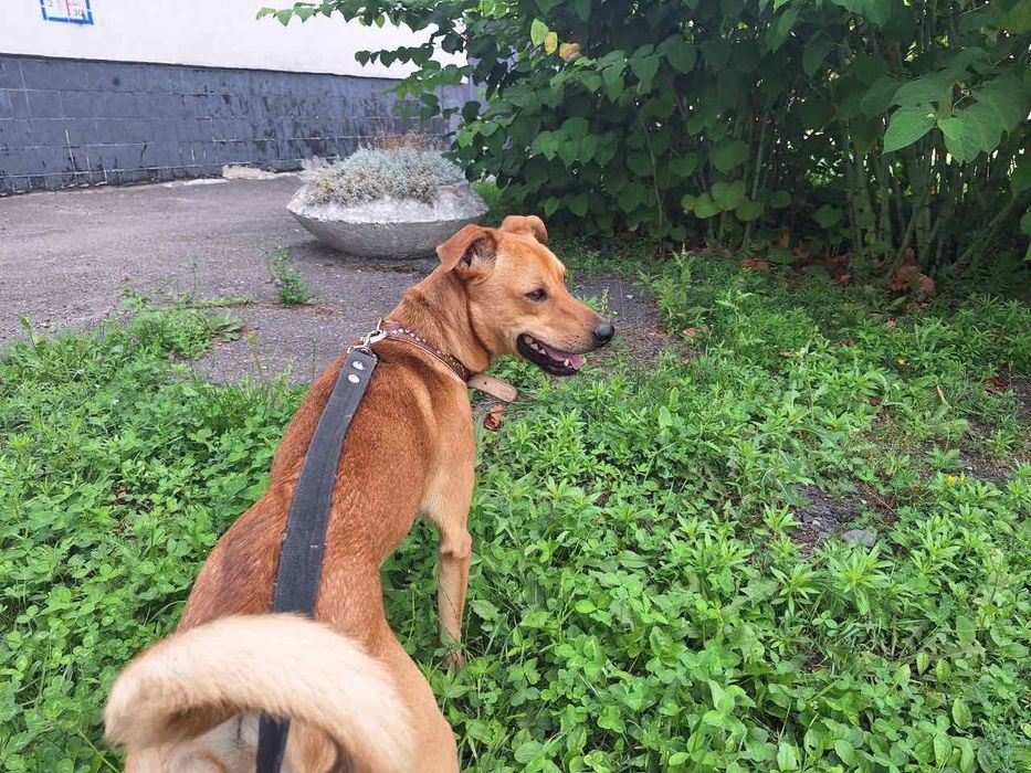 Красавец Рей,молодой парень.бесплатно.