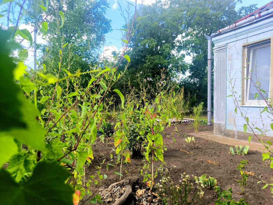 Продаж будинку в с.Вигода ,поруч Біляївка ,Теплодар є відновлення