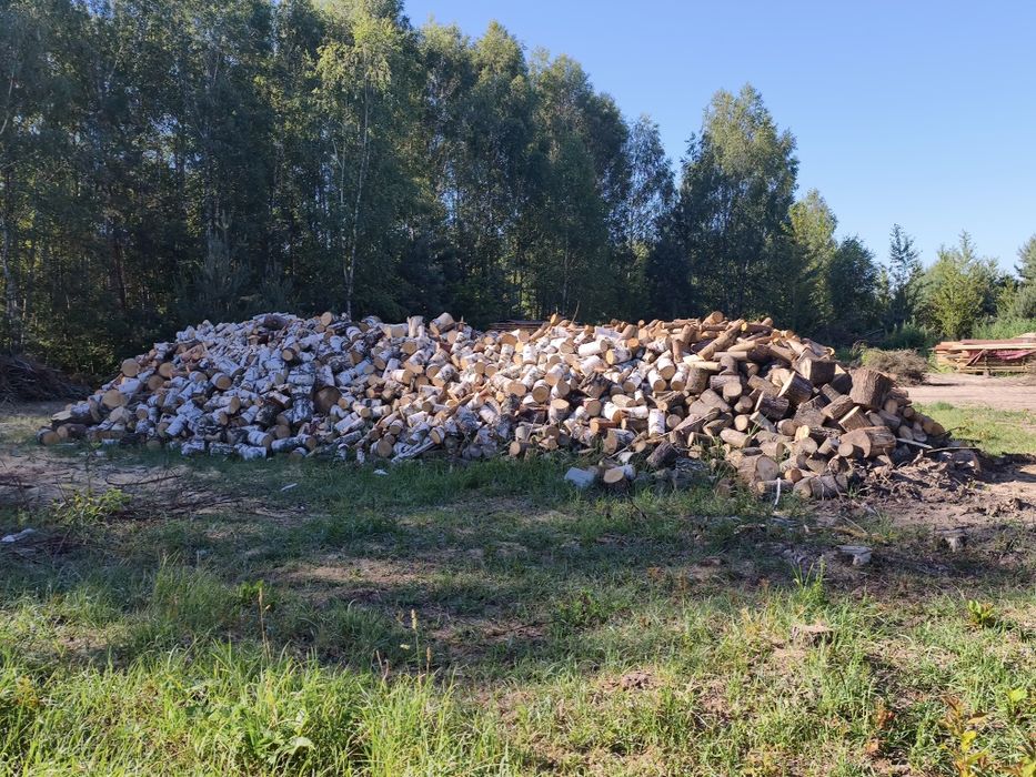 Drewno opałowe liściaste
