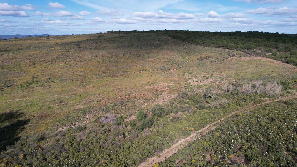 Terreno rústico, sitio Cerro do Pereiro