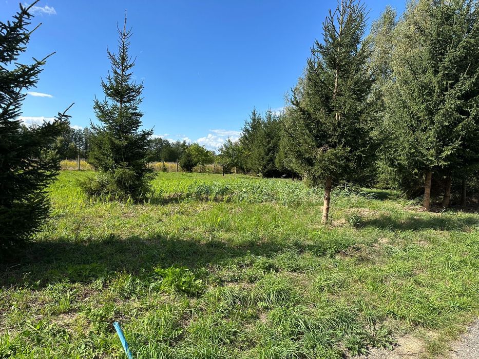 BUDYNEK WARSZTATOWY z działką 2704 m² + działka 1708 m² znajdująca się 200m dalej - Widok 3