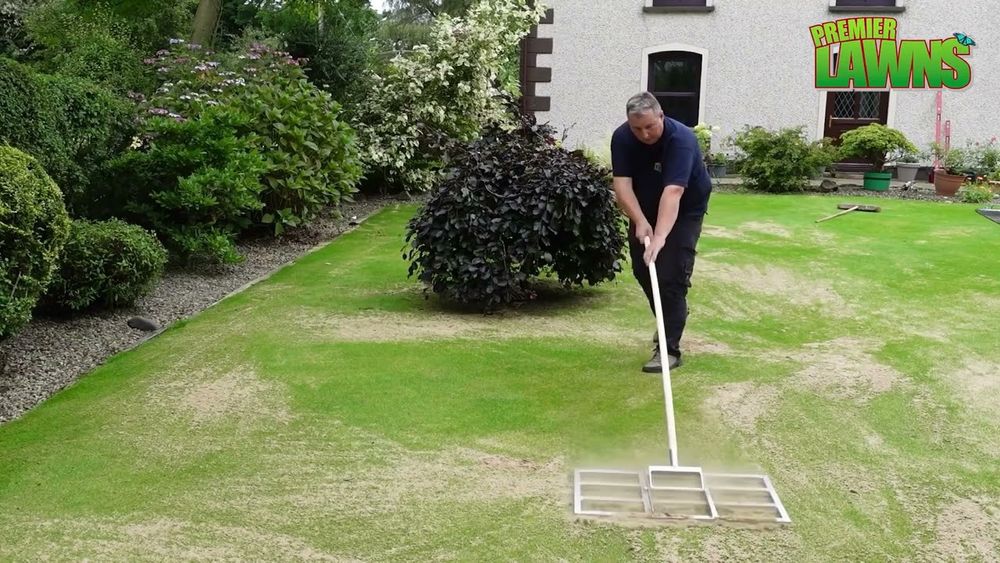 Piasek do piaskowania trawnika