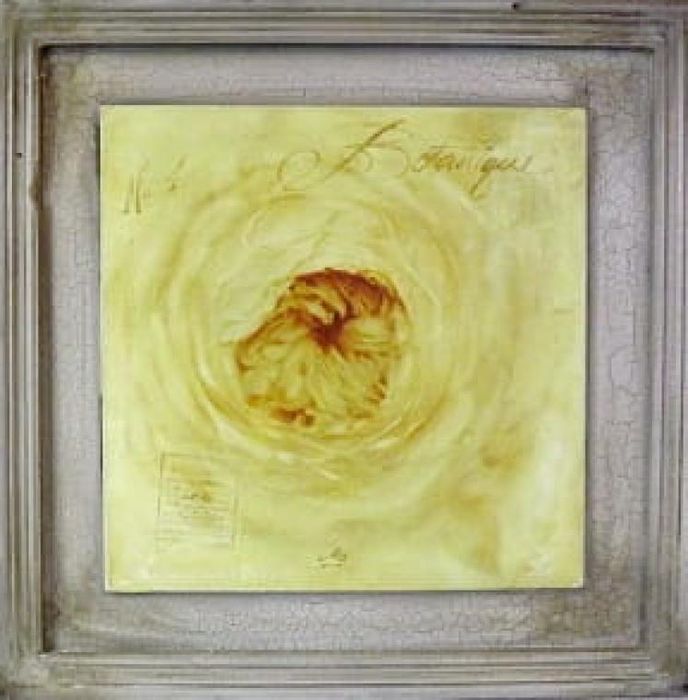 Obraz Żółta Róża 38x38 Cm Dekoracja Ścienną Do Salonu Sypialni Nowoczesny Kwiatowy Druk Artystyczny Mebliva