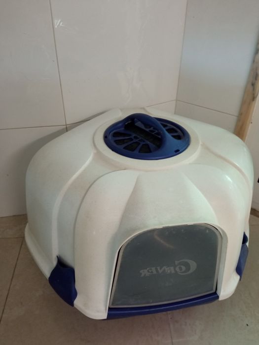 W C. de canto Grande  gatinhos