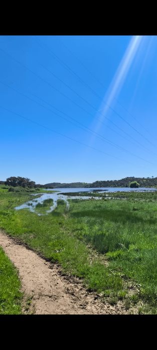 Herdade para venda